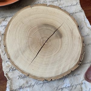صفحه چوبی تنه درختی
